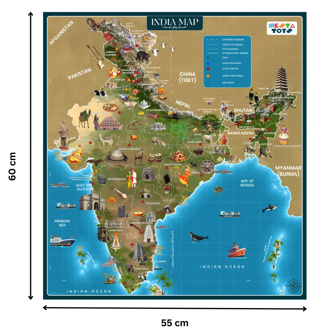 India Map Puzzle For Kids (64 Pcs)