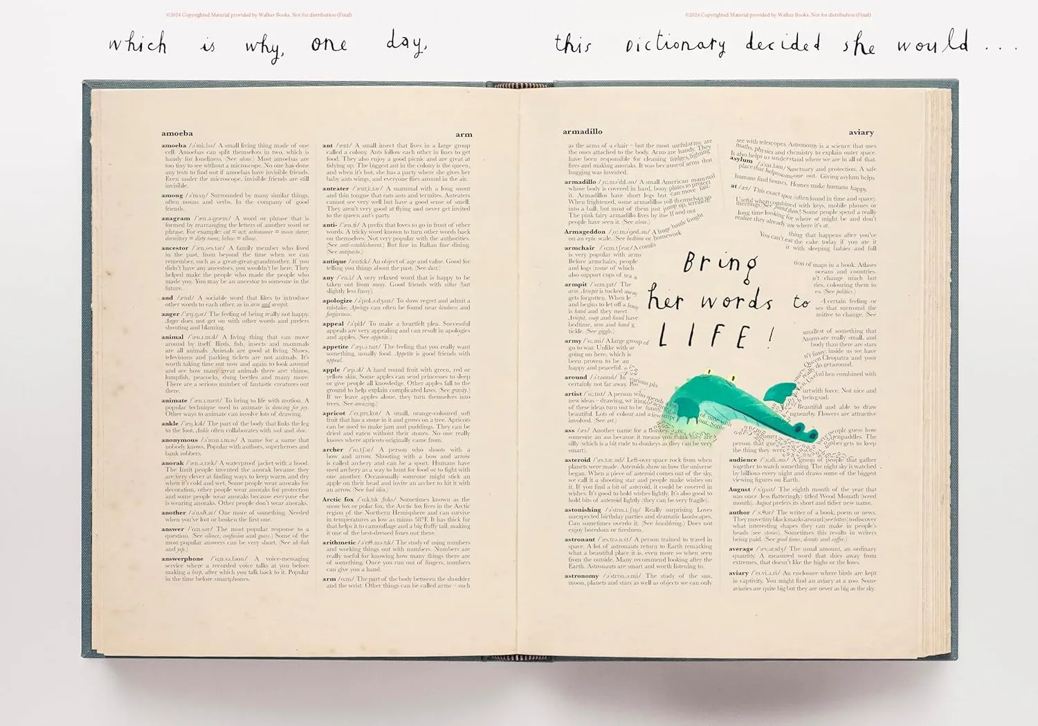 The Dictionary Story